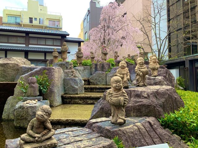 京都　SAKURA 桜めぐり❗️聖徳太子が創建した六角堂の桜に感動❗️