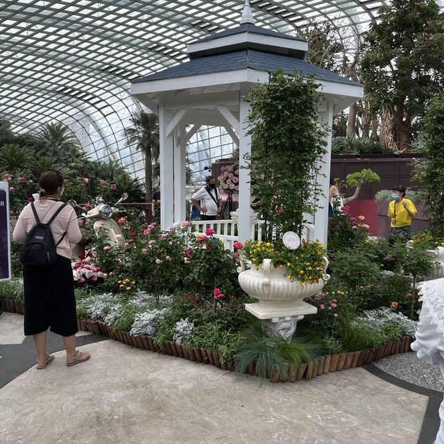 Roses Exhibition @ Gardens By The Bay