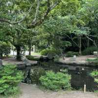 子鉄に最高広くてゆっくりできる梅小路公園