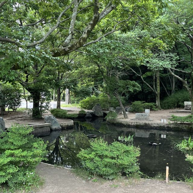 子鉄に最高広くてゆっくりできる梅小路公園