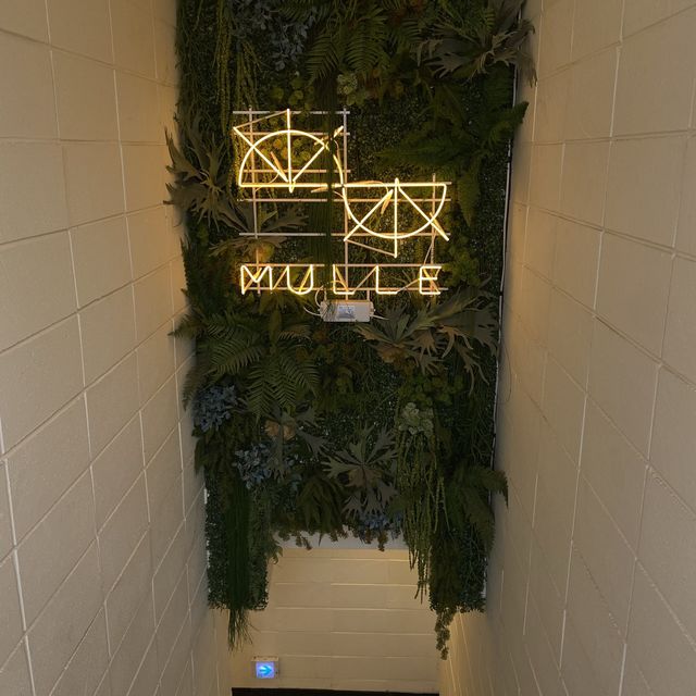 노원역 이쁜 카페 🌿물레🌿 분위기 💛