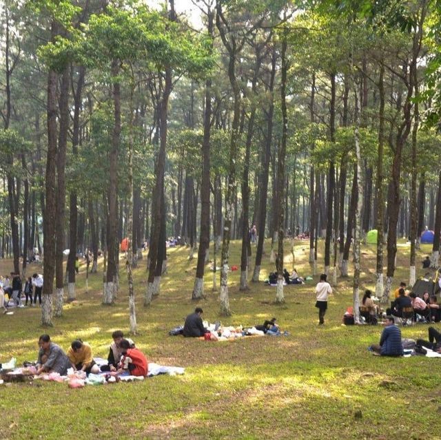 Dã ngoại Hà Nội
