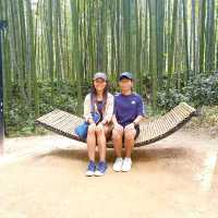 Juknokwon Bamboo Forest