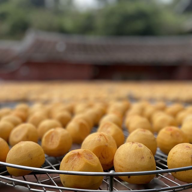 新埔金漢柿餅觀光園區