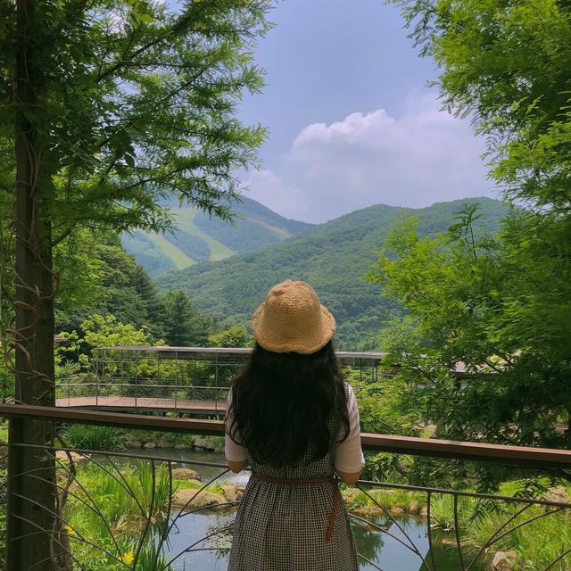 부모님 모시고 가기 좋은 여행 장소 “곤지암 화담숲”