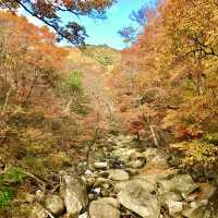 경남 합천 해인사 단풍놀이🍁🍂 가야산 소리길