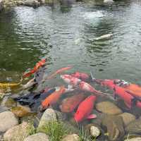 1 day trip in Dalat - มาเที่ยวดาลัดกันเถอะ 🇻🇳
