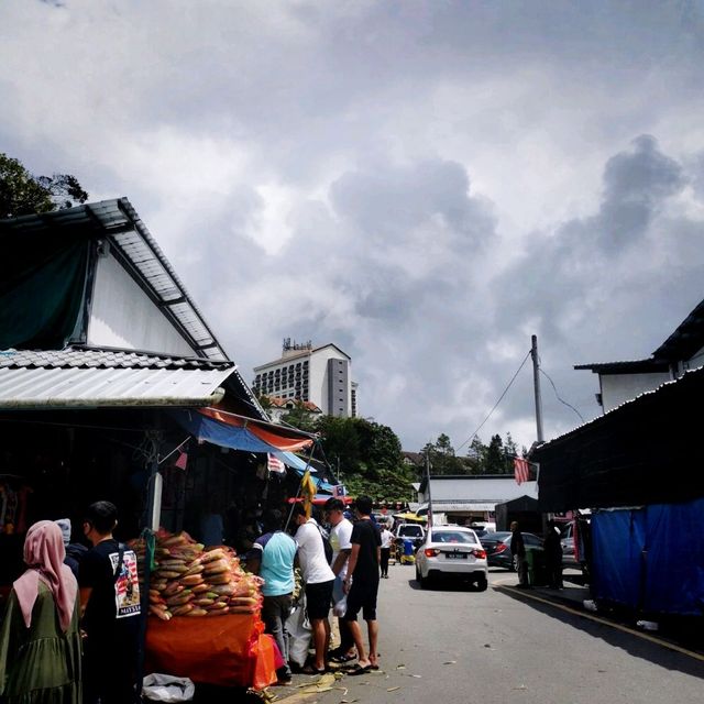 Best Port at Cameron Highland ❤