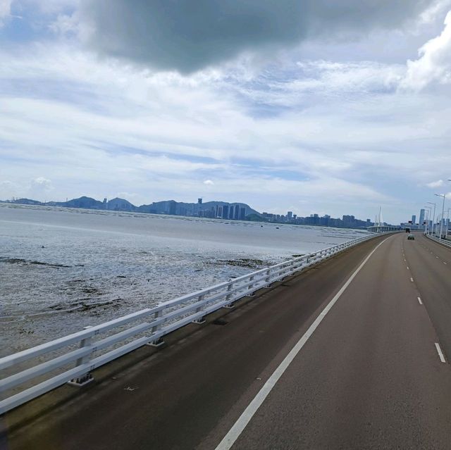 另類觀光遊@:深圳灣大橋