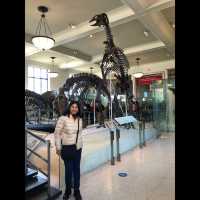 มาเที่ยว American Museum of Natural History ค่ะ