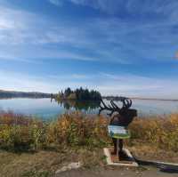 Edmonton ELK Island National Park 🏞