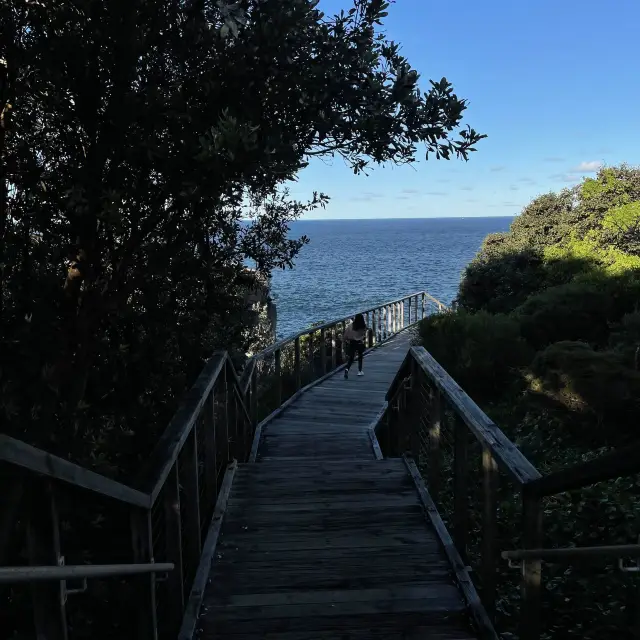 悉尼絕美海景 📍Diamond Bay Reserve