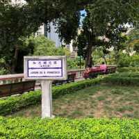 葡式葡色～粉紅，粉綠，蛋黃