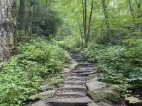 Hike to Chimney Top - Great Smokies 