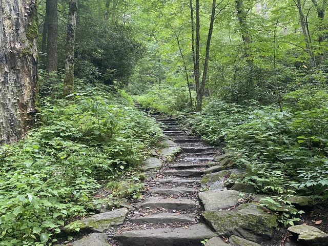 Hike to Chimney Top - Great Smokies 
