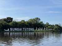 Tutong River 