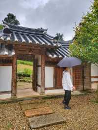 비오는날 더 운치있는 한옥의 정취, 아원고택🌳