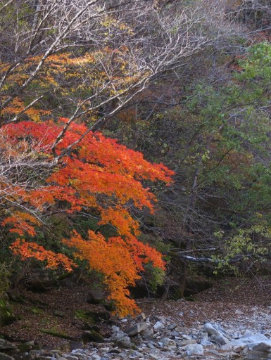 오대산 선재길 트래킹 