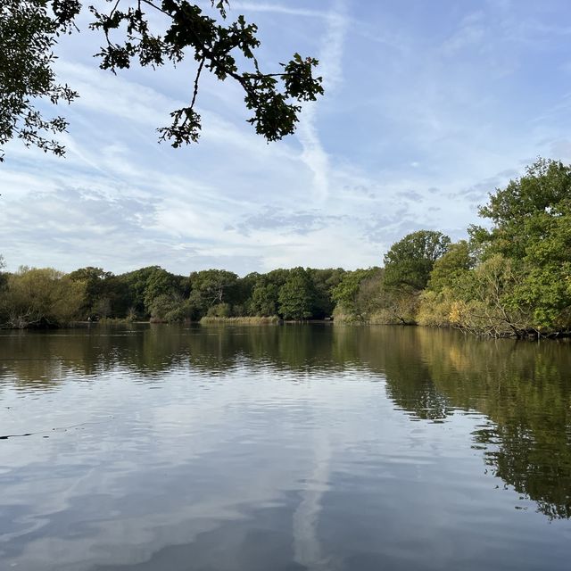 hiking at epping forest in late autumn