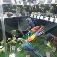 Amazing zooalogical museum 