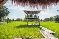 บ้านไร่ปลายนา [อุทัยธานี]