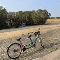 Dongtan Wetland Park, Chongming