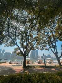 Cycling Down East Bund🌱🍃