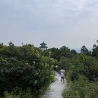 Fragrant Hills (Beijing) 