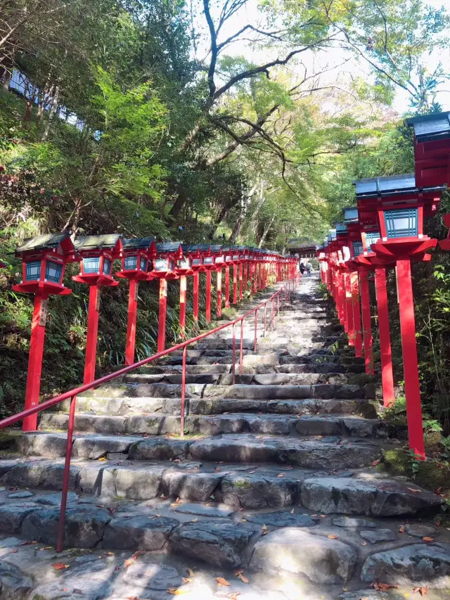Japan Travel | Kifune Shrine ⛩ in Kyoto for Seeking Marriage Fate