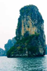 Are you going to visit "Halong Bay on the Sea" in Vietnam?