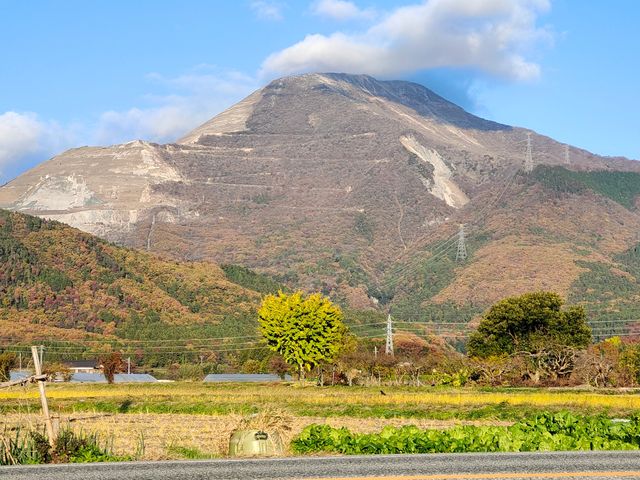 Japan free travel, hike up Mount Ibuki, autumn leaves and miscanthus are equally beautiful.