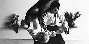CYNDY HAYASHI SHIHAN AT AIKIDO OF NORTHERN VIRGINIA (Arlington) | 601 N Vermont St