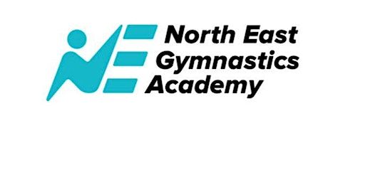 North East Gymnastics Christmas Display Sat Tickets | Newburn Activity Centre, Grange Road, Newburn, Newcastle upon Tyne, UK