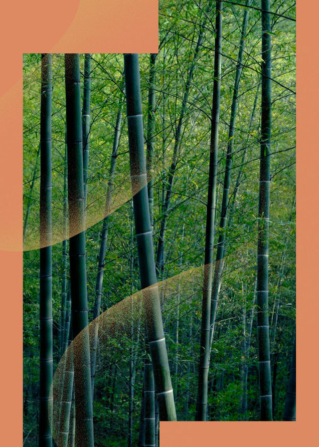 太古輕鬆樂聚系列：臥虎藏龍電影音樂會 | 香港文化中心音樂廳