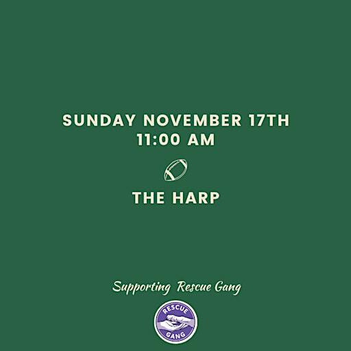 Green and Gold Pregame Paw-ty | Harp Irish Pub