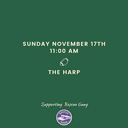 Green and Gold Pregame Paw-ty | Harp Irish Pub