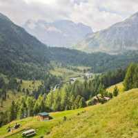 Amazing Alps!
