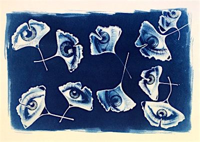 Cyanotype and more with Mary Thomas | Ruthin Craft Centre