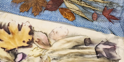 Introduction to Botanical Printing | Sunny Bank Mills Gallery