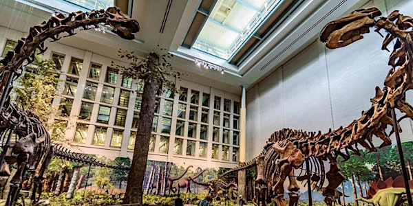 Science Bowl (Grades 4-8) | Carnegie Museum of Natural History