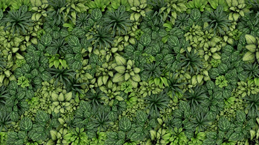 Saturday DNA! - Fascination of Plants Day! | Cold Spring Harbor Laboratory | DNA Learning Center