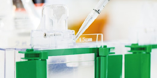 Western Blot Workshop: Accelerate your workflows! | C42, Biomedical Sciences Building