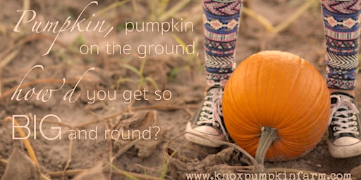 Fall Harvest Tickets 2026 | Knox's Pumpkin Farm