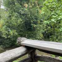 ร้านคาเฟ่ลับๆในป่า บรรยากาศธรรมชาติ