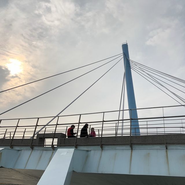 高美濕地-台中的後花園