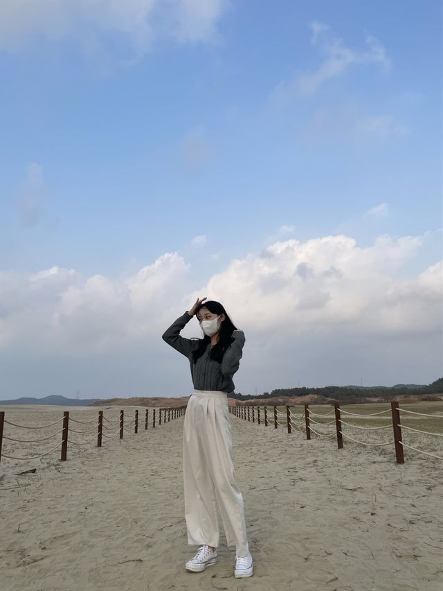 태안 인생샷 명소 :: 태안 신두리 해안사구🌵