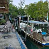 สะพานแดง ชมป่าชายเลน