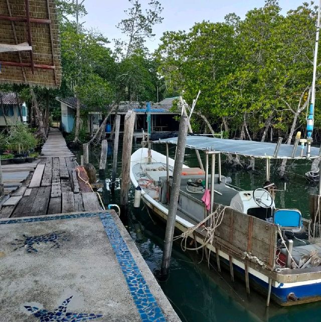 สะพานแดง ชมป่าชายเลน