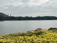野餐勝地 ｜ 迪欣湖活動中心