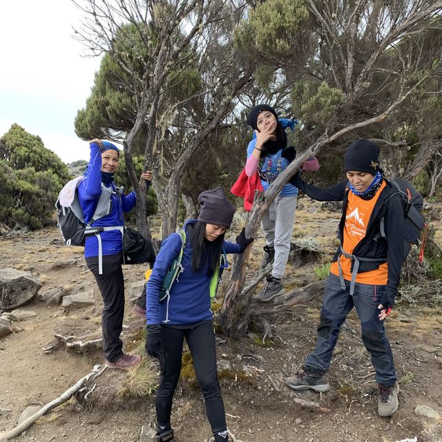 Hiking up Kilimanjaro 